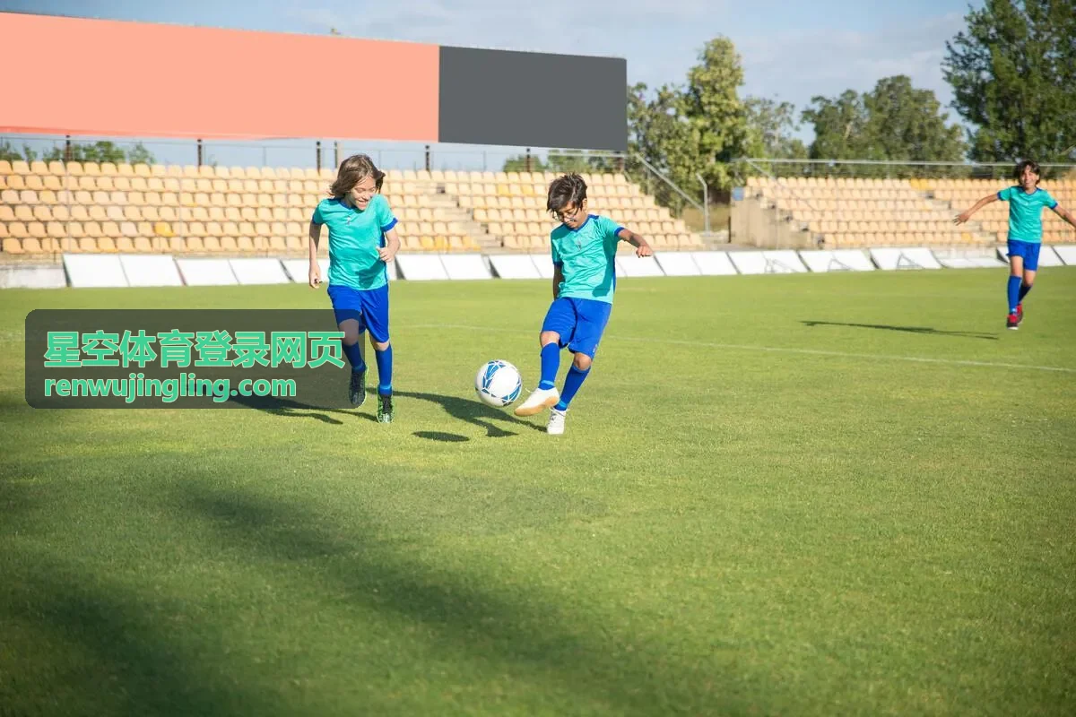 星空体育登录网页的登录入口界面示意